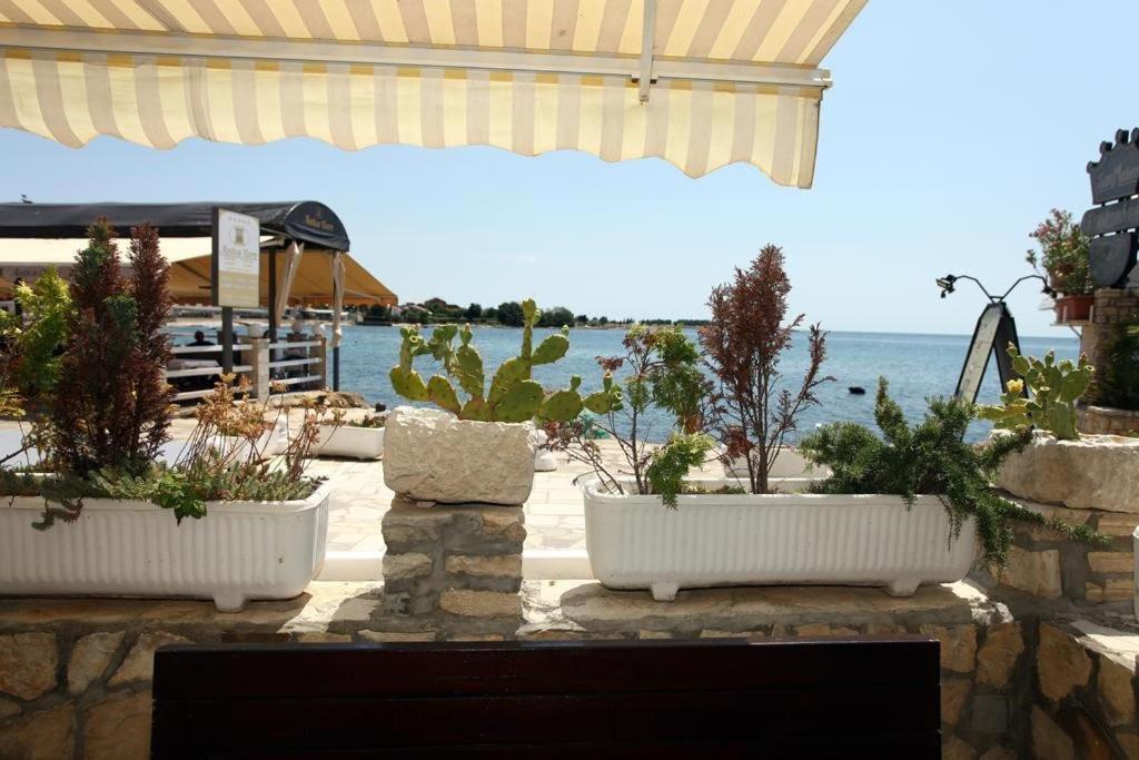 Sea view apartment Umag 2 Exterior foto